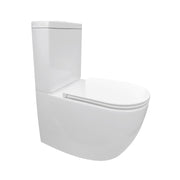 Nora Venezia Tornado BTW Toilet Suite P/S trap (TC-6601TR)