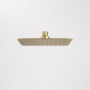 Caroma 200mm Square Rain Shower - Brushed Brass (99664BB4E)