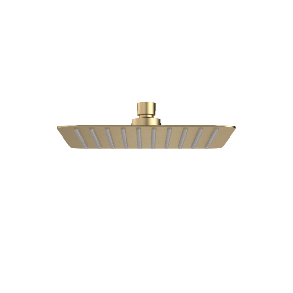 Caroma 200mm Square Rain Shower - Brushed Brass (99664BB4E)