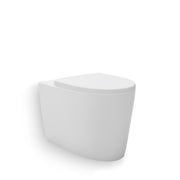 Kohler Grande Wall Faced Pan