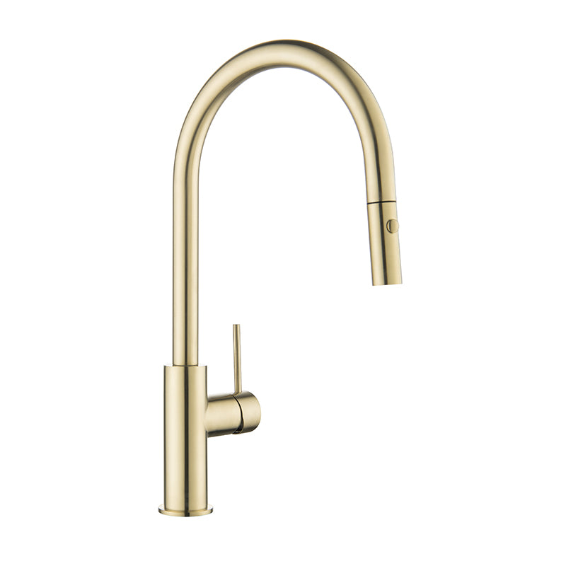 Nora Modena Pull-out Kitchen Mixer with Spray Brushed Gold PVD and Anti-fingerprint 304 Stainless Steel (SSPKM06FG)